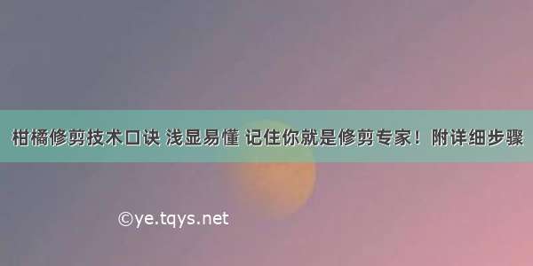 柑橘修剪技术口诀 浅显易懂 记住你就是修剪专家！附详细步骤