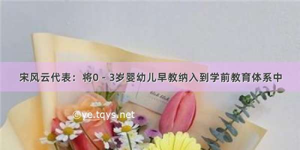 宋风云代表：将0－3岁婴幼儿早教纳入到学前教育体系中