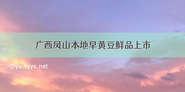 广西凤山本地早黄豆鲜品上市