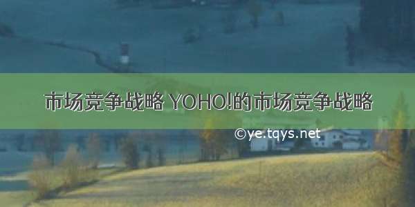 市场竞争战略 YOHO!的市场竞争战略