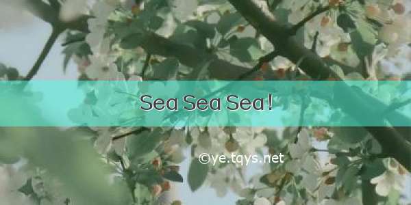 Sea Sea Sea！