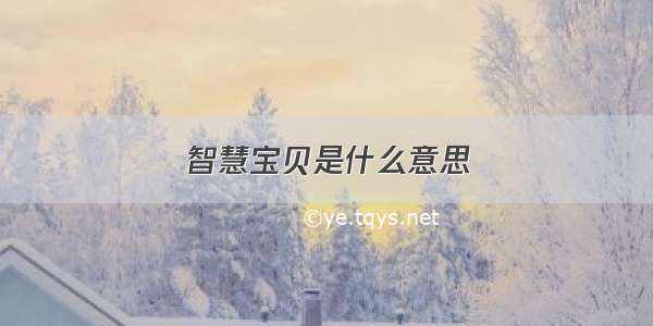 智慧宝贝是什么意思