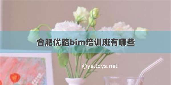 合肥优路bim培训班有哪些