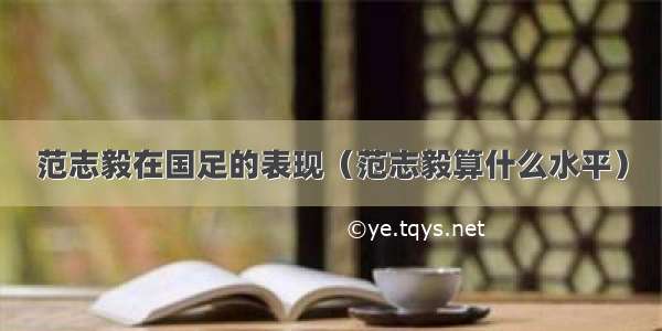 范志毅在国足的表现（范志毅算什么水平）