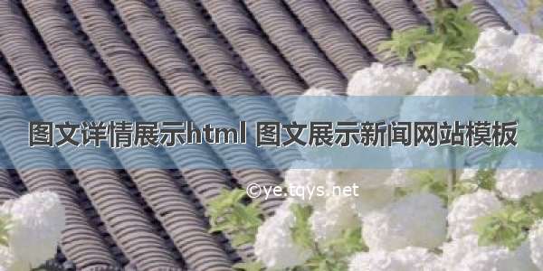 图文详情展示html 图文展示新闻网站模板