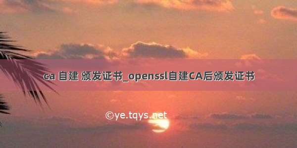 ca 自建 颁发证书_openssl自建CA后颁发证书