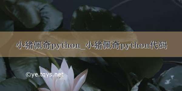 小猪佩奇python_小猪佩奇python代码