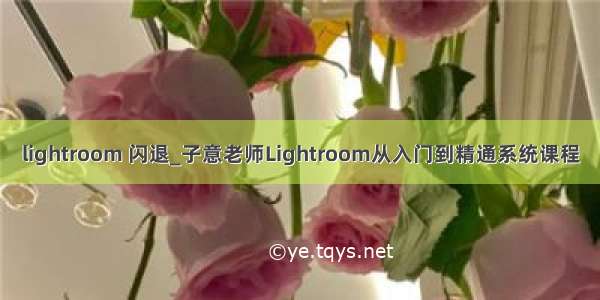 lightroom 闪退_子意老师Lightroom从入门到精通系统课程