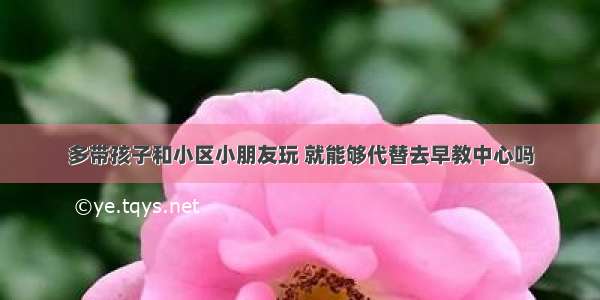 多带孩子和小区小朋友玩 就能够代替去早教中心吗