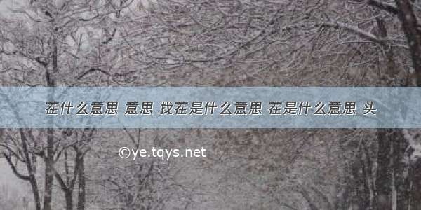 茬什么意思 意思 找茬是什么意思 茬是什么意思 头