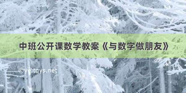 中班公开课数学教案《与数字做朋友》