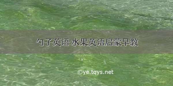 勺子英语 水果英语启蒙早教