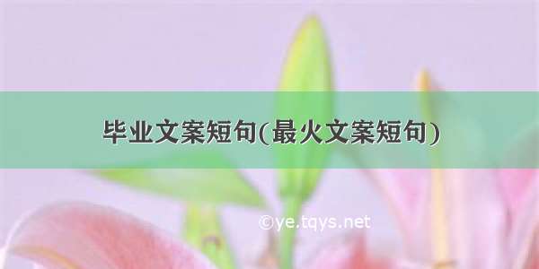 毕业文案短句(最火文案短句)