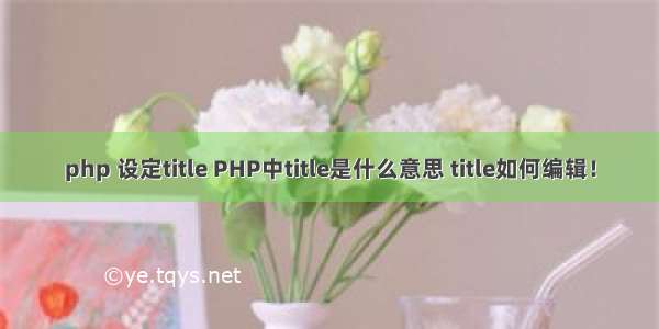 php 设定title PHP中title是什么意思 title如何编辑！