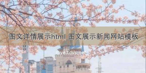 图文详情展示html 图文展示新闻网站模板