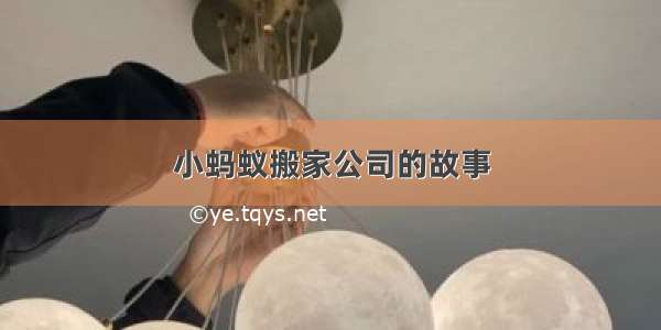 小蚂蚁搬家公司的故事