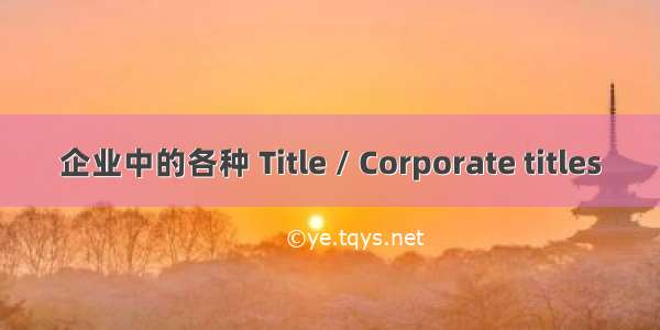 企业中的各种 Title / Corporate titles