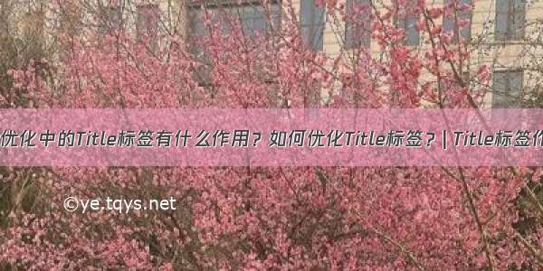 SEO优化中的Title标签有什么作用？如何优化Title标签？| Title标签作用