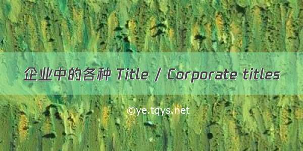 企业中的各种 Title / Corporate titles