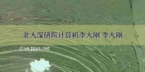 北大深研院计算机李大刚 李大刚