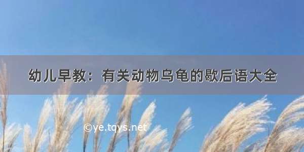 幼儿早教：有关动物乌龟的歇后语大全