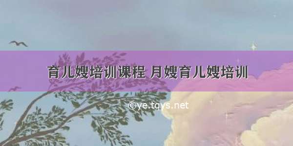 育儿嫂培训课程 月嫂育儿嫂培训