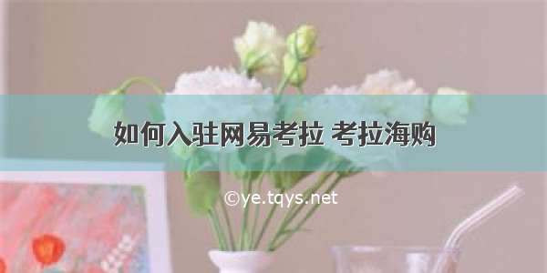 如何入驻网易考拉 考拉海购