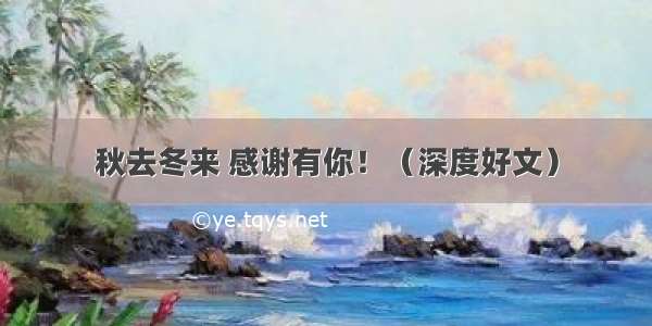 秋去冬来 感谢有你！（深度好文）