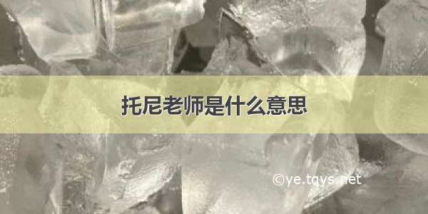 托尼老师是什么意思