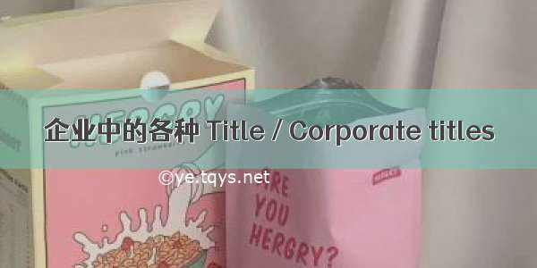 企业中的各种 Title / Corporate titles