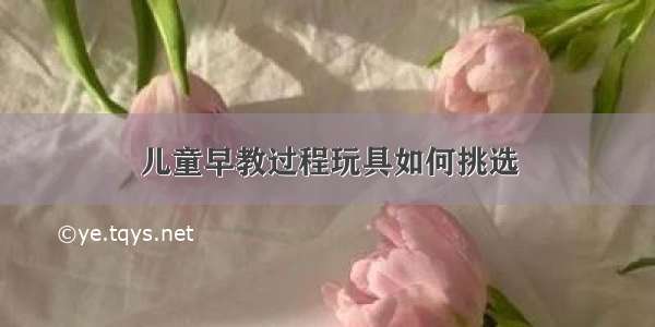 儿童早教过程玩具如何挑选