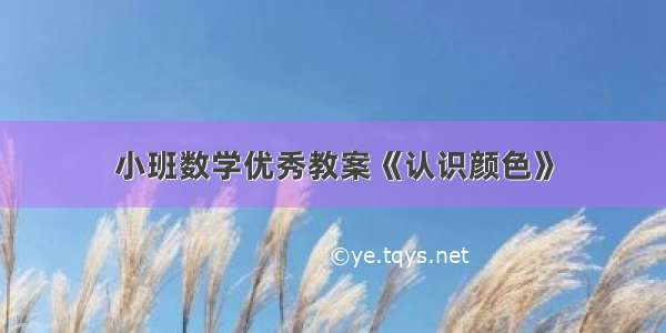 小班数学优秀教案《认识颜色》