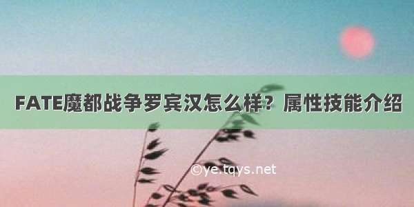 FATE魔都战争罗宾汉怎么样？属性技能介绍