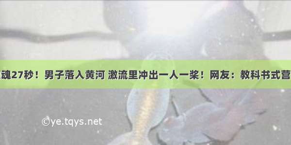 惊魂27秒！男子落入黄河 激流里冲出一人一桨！网友：教科书式营救