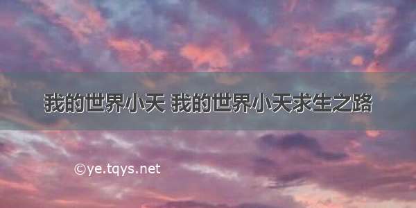 我的世界小天 我的世界小天求生之路