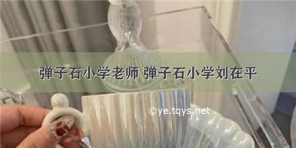 弹子石小学老师 弹子石小学刘在平