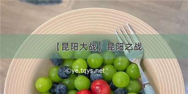 【昆阳大战】昆阳之战