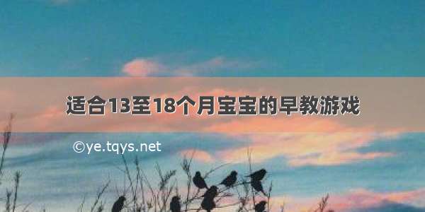 适合13至18个月宝宝的早教游戏