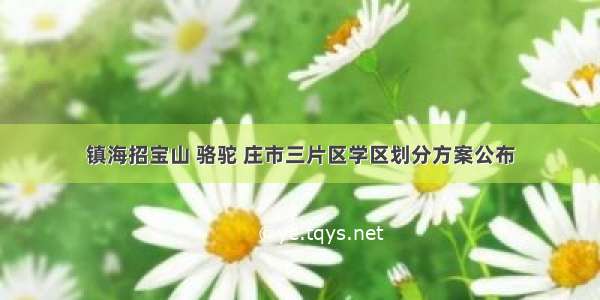 镇海招宝山 骆驼 庄市三片区学区划分方案公布