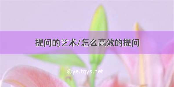 提问的艺术/怎么高效的提问