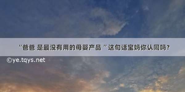 “爸爸 是最没有用的母婴产品 ”这句话宝妈你认同吗？