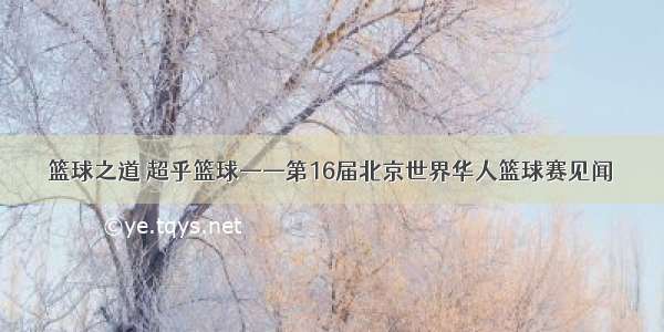 篮球之道 超乎篮球——第16届北京世界华人篮球赛见闻
