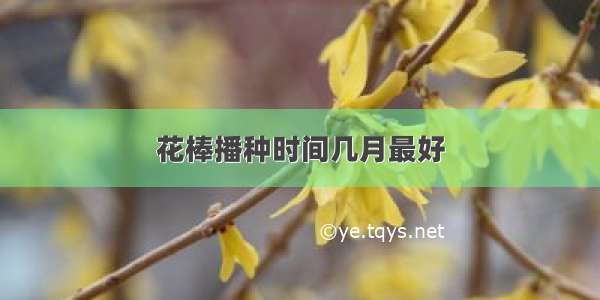 花棒播种时间几月最好