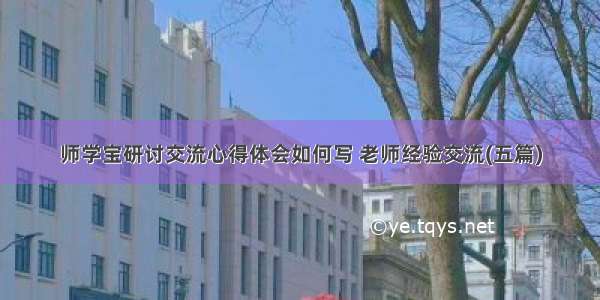 师学宝研讨交流心得体会如何写 老师经验交流(五篇)