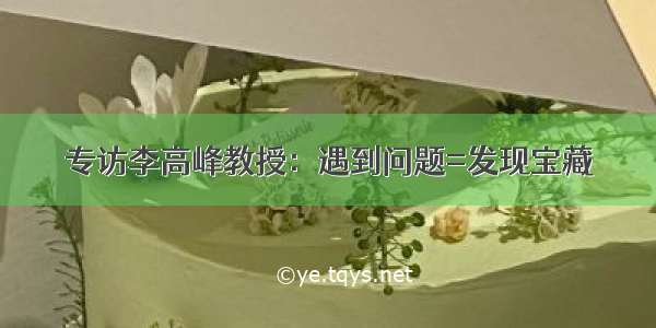 专访李高峰教授：遇到问题=发现宝藏