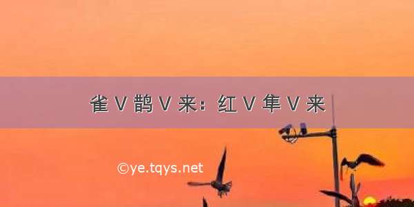 雀 V 鹊 V 来：红 V 隼 V 来