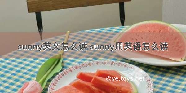 sunny英文怎么读 sunny用英语怎么读