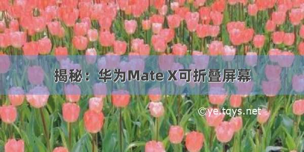 揭秘：华为Mate X可折叠屏幕