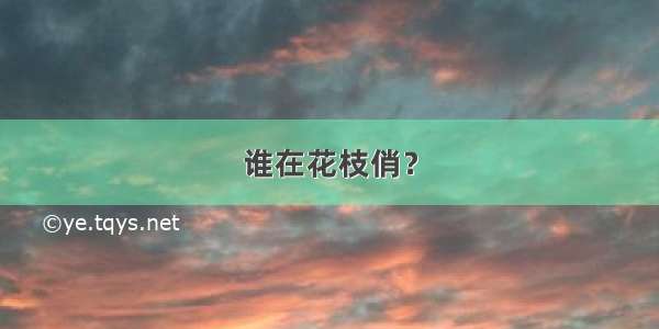 谁在花枝俏？