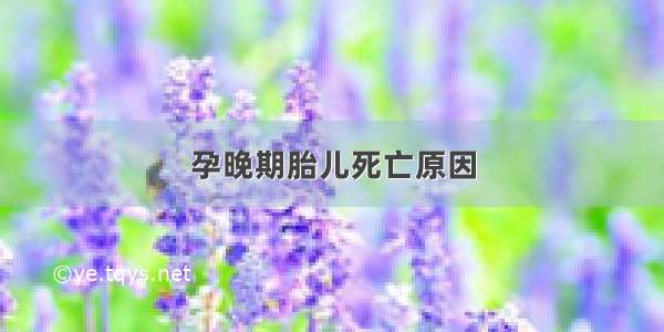 孕晚期胎儿死亡原因